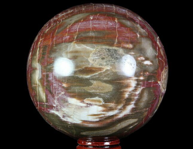 Colorful Petrified Wood Sphere - Madagascar #71416